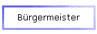 B�rgermeister
