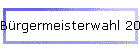 B�rgermeisterwahl 2010